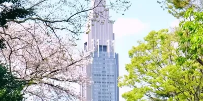 東京新宿御苑賞櫻全攻略｜門票&開放時間&機位& 交通&隱藏彩蛋，春日遊必看